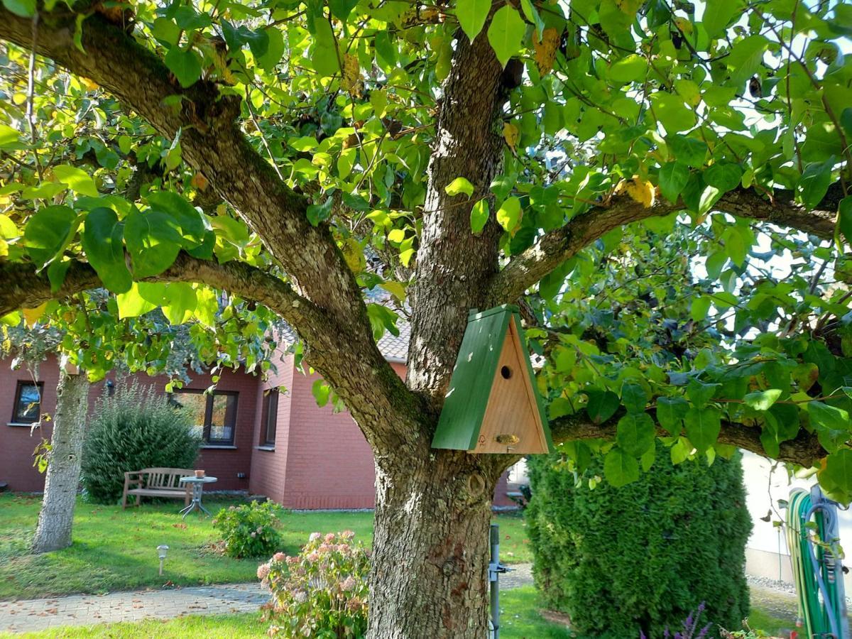 Das Kleine, Gemuetliche Ferienhaus Ludorf Εξωτερικό φωτογραφία